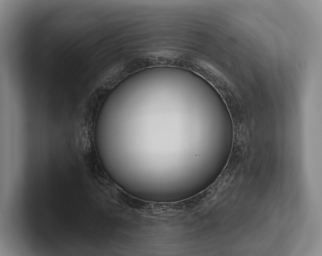 X0000102000774200807251245