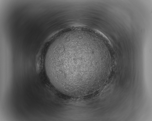 X0000102000775200807251245