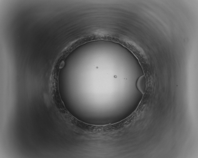 X0000102000776200807251245