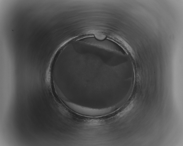 X0000102000779200807251245