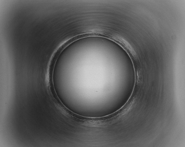 X0000102000780200807251245