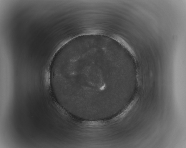 X0000102000781200807251245