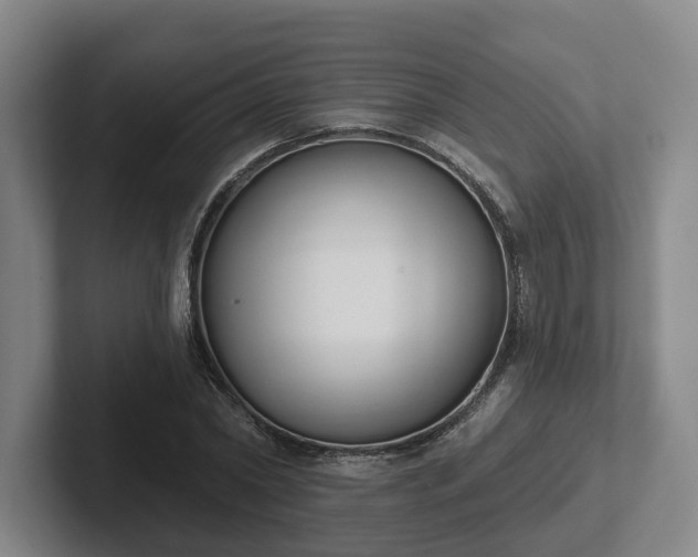 X0000102000782200807251245