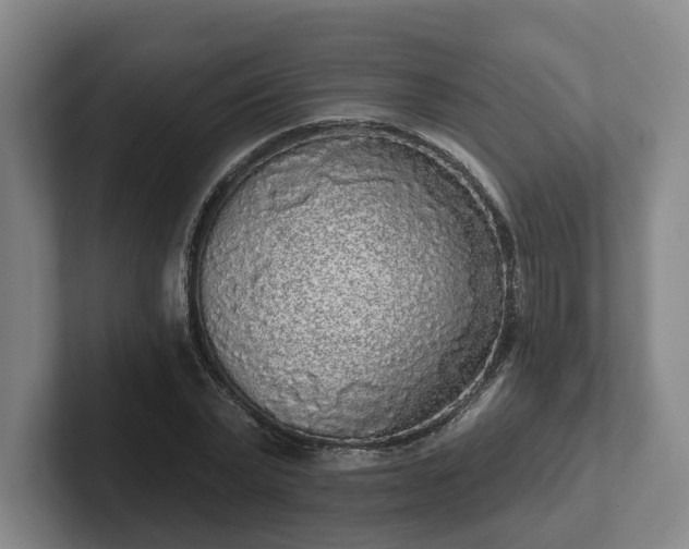 X0000102000783200807251245