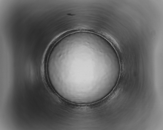 X0000102000784200807251245