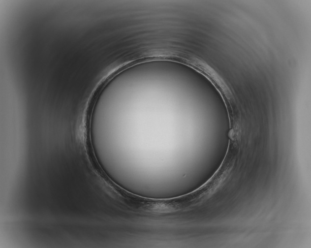 X0000102000787200807251245