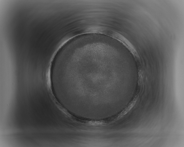 X0000102000788200807251245