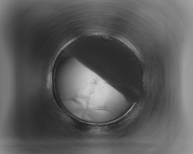 X0000102000790200807251245