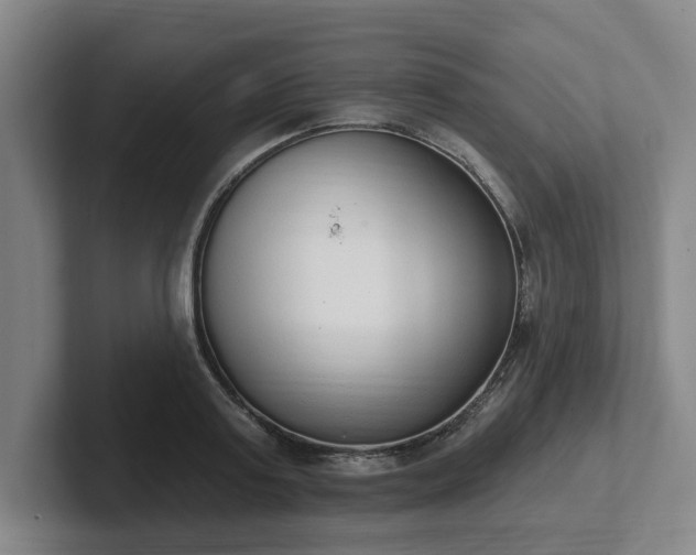 X0000102000795200807251245