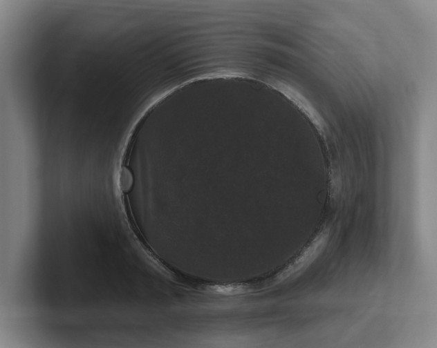 X0000102000797200807251245