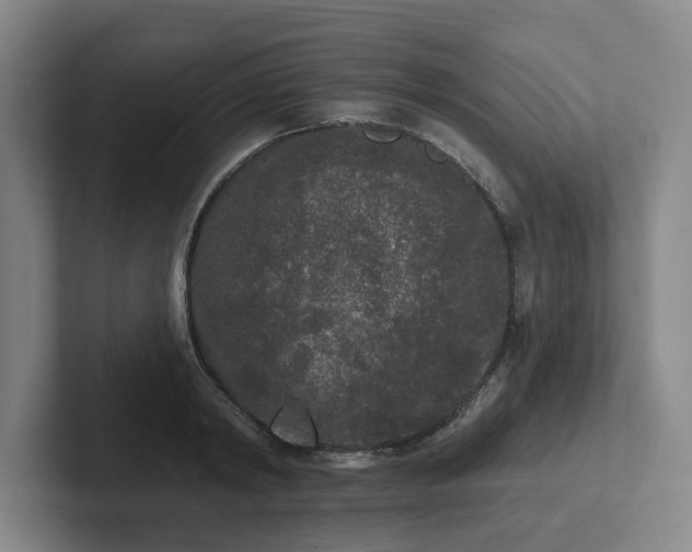 X0000102000798200807251245