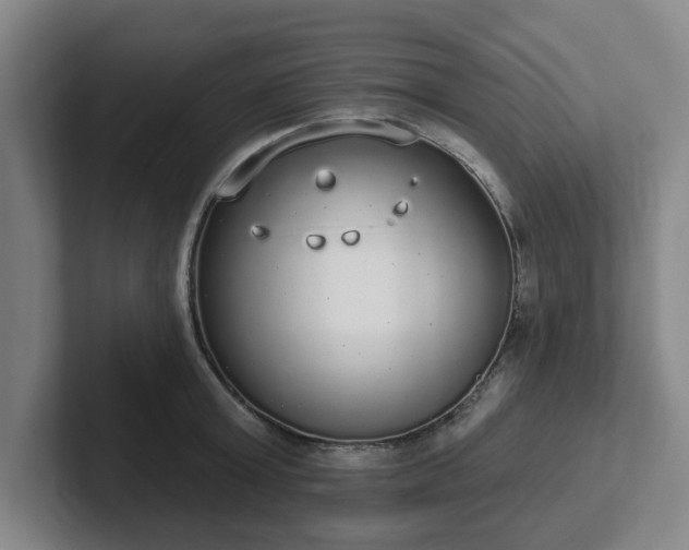 X0000102000803200807251245