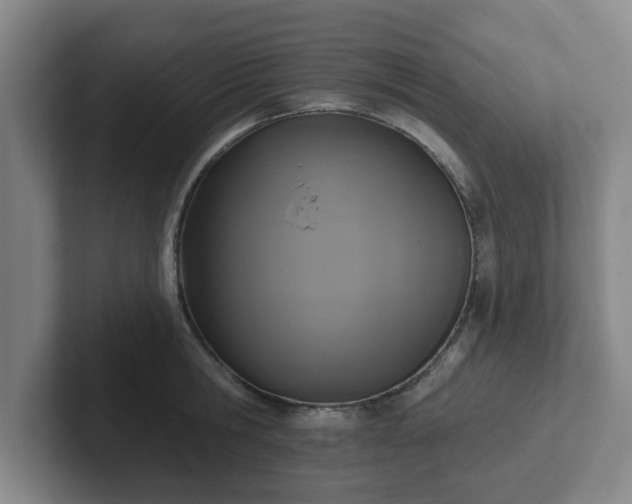 X0000102000806200807251245