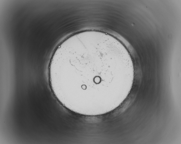 X0000102000807200807251245