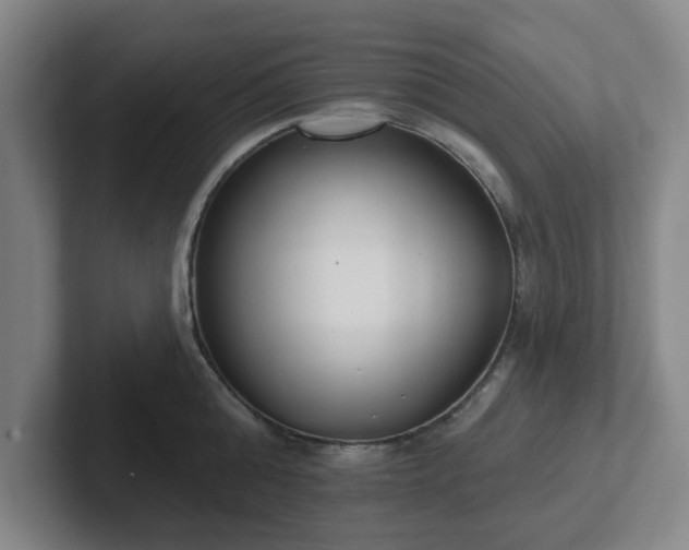 X0000102000808200807251245