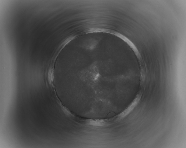 X0000102000809200807251245