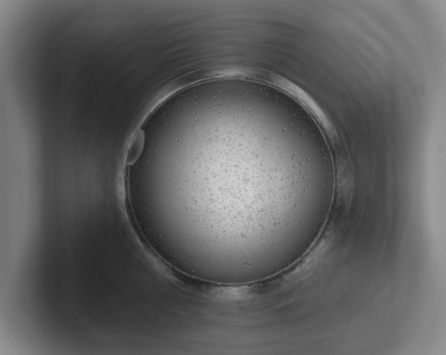 X0000102000810200807251245