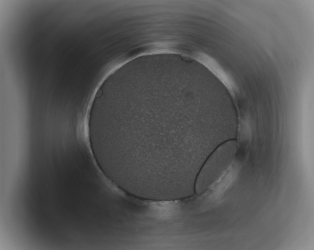 X0000102000813200807251245