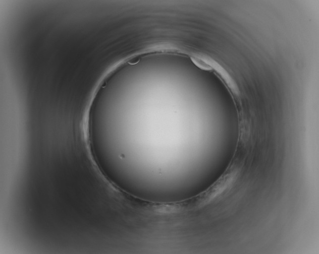 X0000102000815200807251245