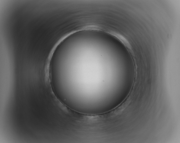 X0000102000816200807251245