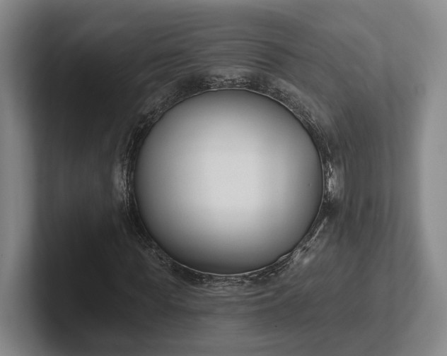 X0000102000819200807251244