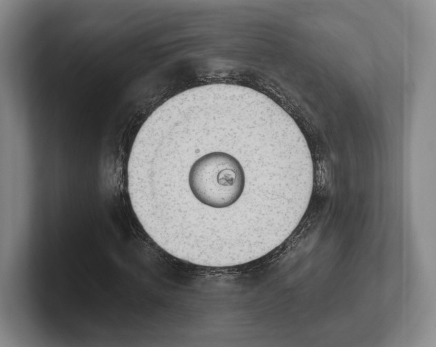 X0000102000820200807251244