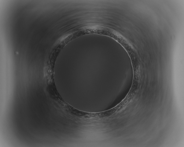 X0000102000822200807251244