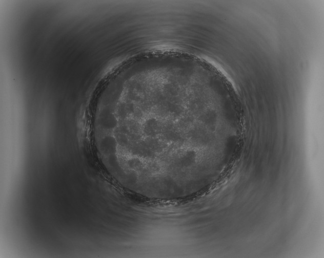 X0000102000823200807251244