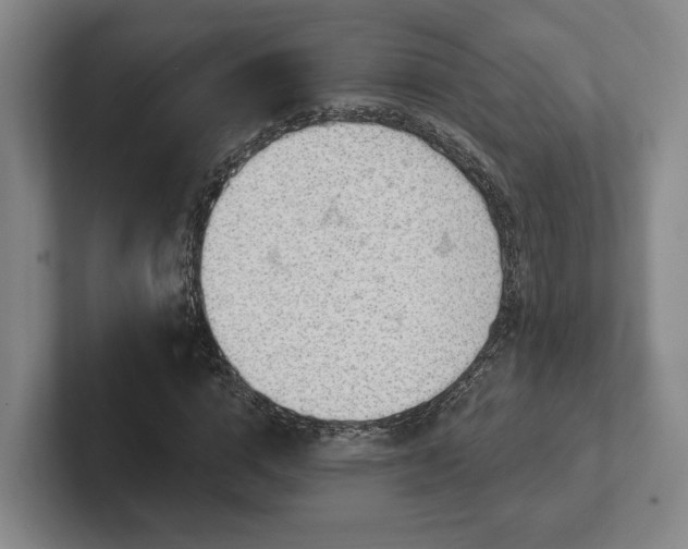 X0000102000824200807251244