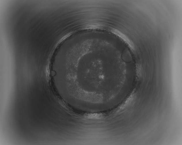 X0000102000826200807251244