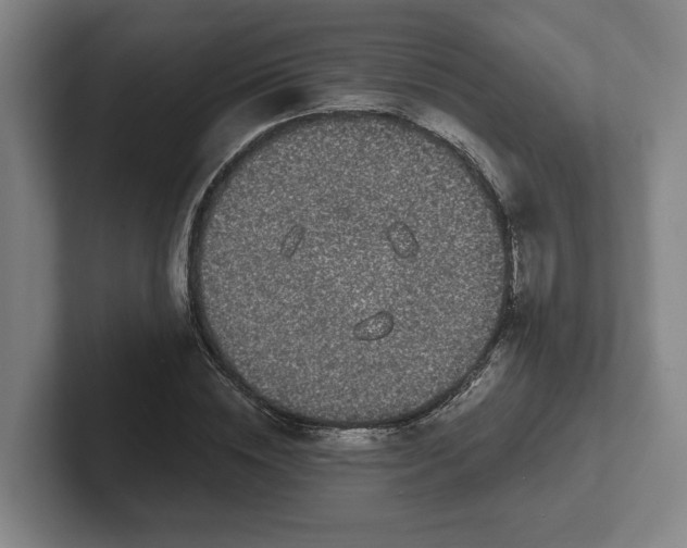 X0000102000828200807251244