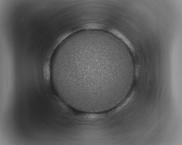 X0000102000829200807251244