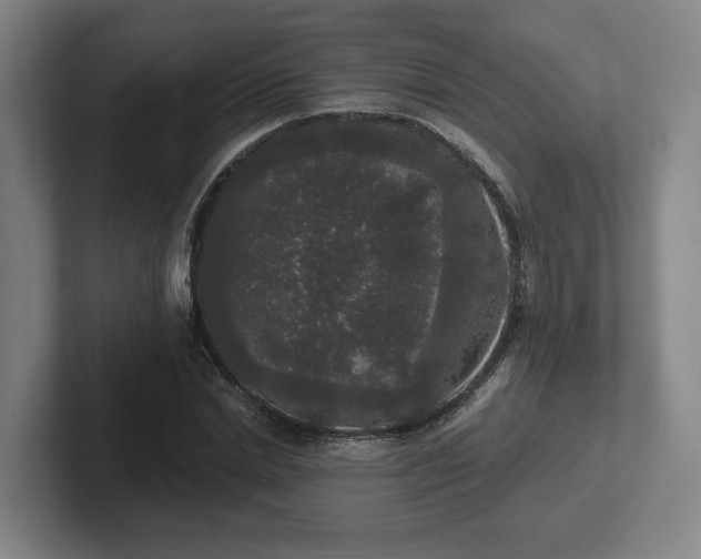 X0000102000830200807251244