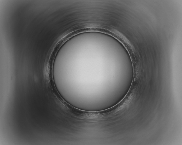 X0000102000831200807251244