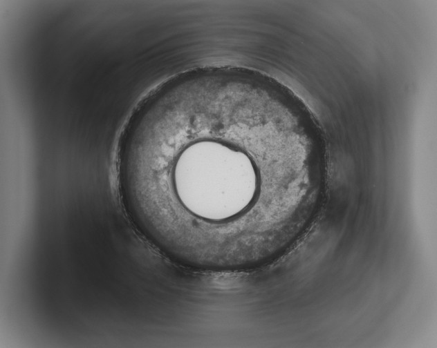 X0000102000832200807251244