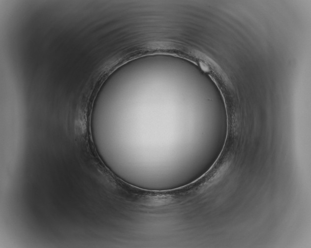 X0000102000833200807251244