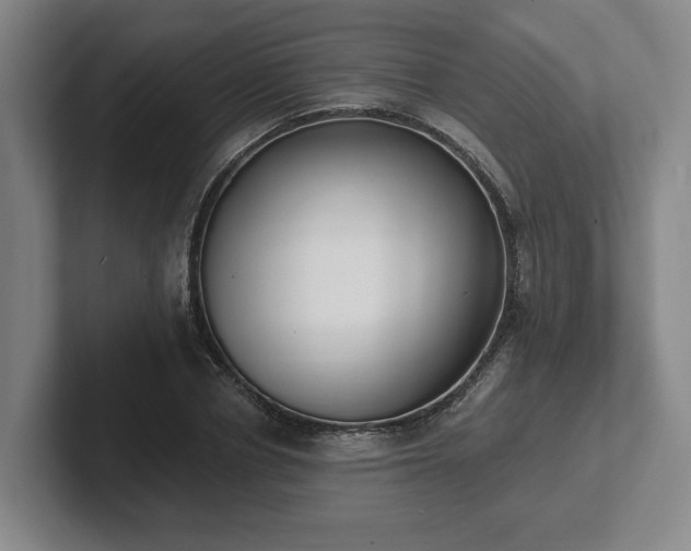 X0000102000834200807251244