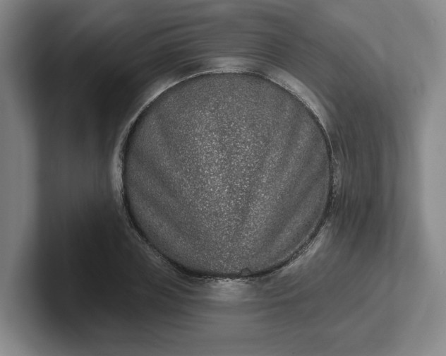 X0000102000835200807251244