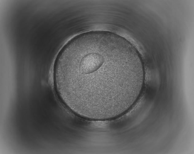 X0000102000836200807251244