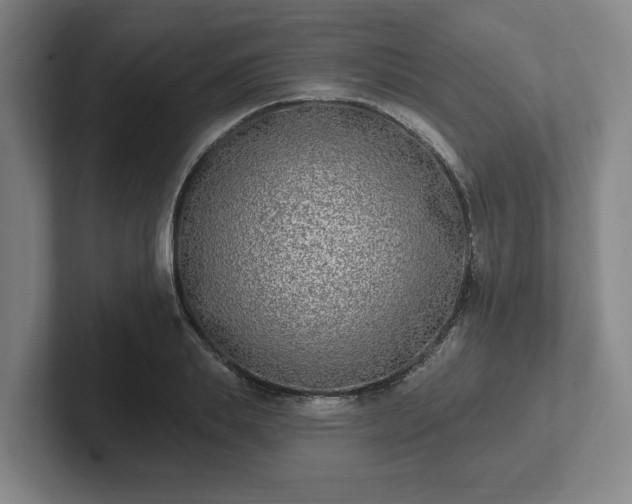 X0000102000839200807251244