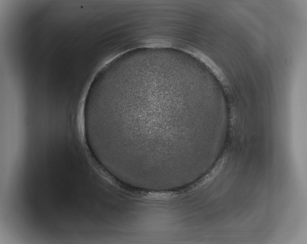 X0000102000840200807251244