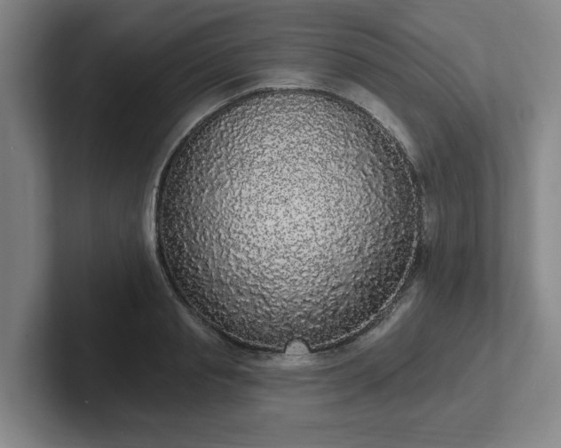 X0000102000845200807251244