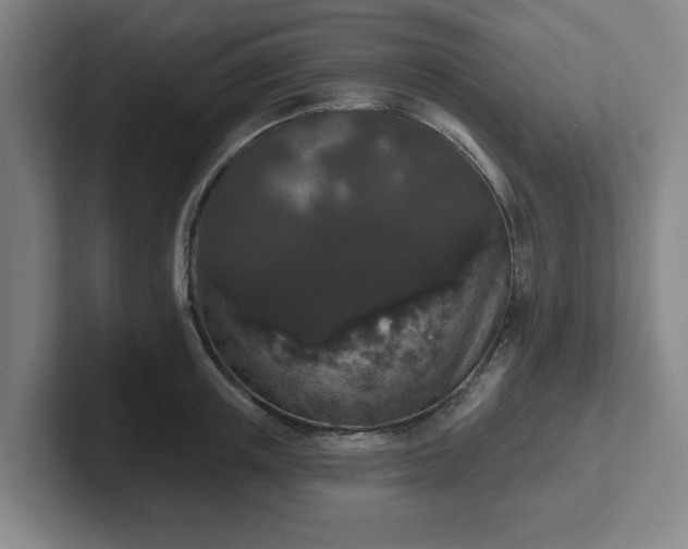 X0000102000851200807251244