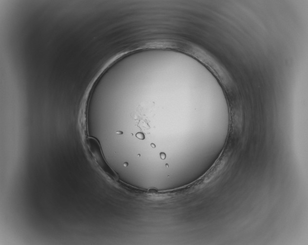 X0000102000852200807251244