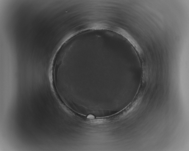 X0000102000853200807251244