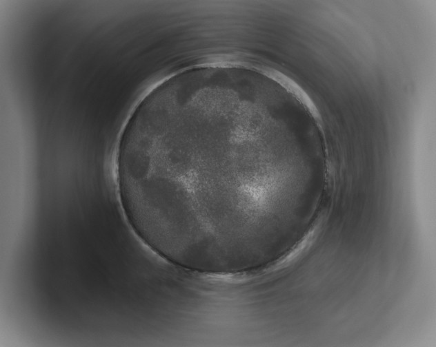 X0000102000855200807251244