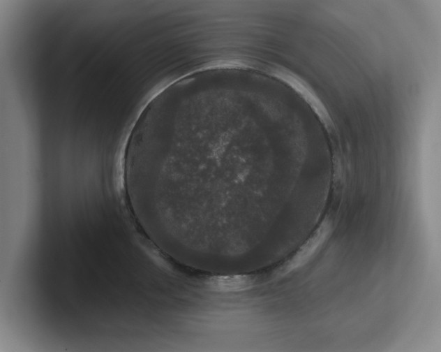 X0000102000858200807251245