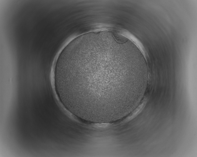 X0000102000859200807251245