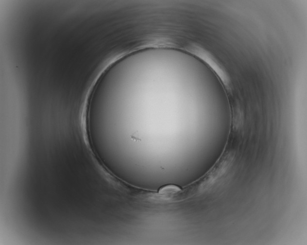 X0000102000861200807251245