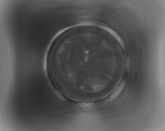 X0000102000862200807251245